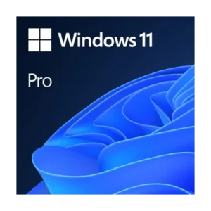 Microsoft Windows 11 Pro OEM